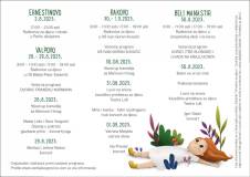 Mini Program